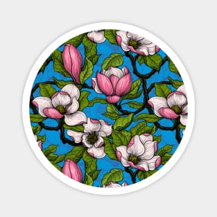 Blooming magnolia on blue Magnet